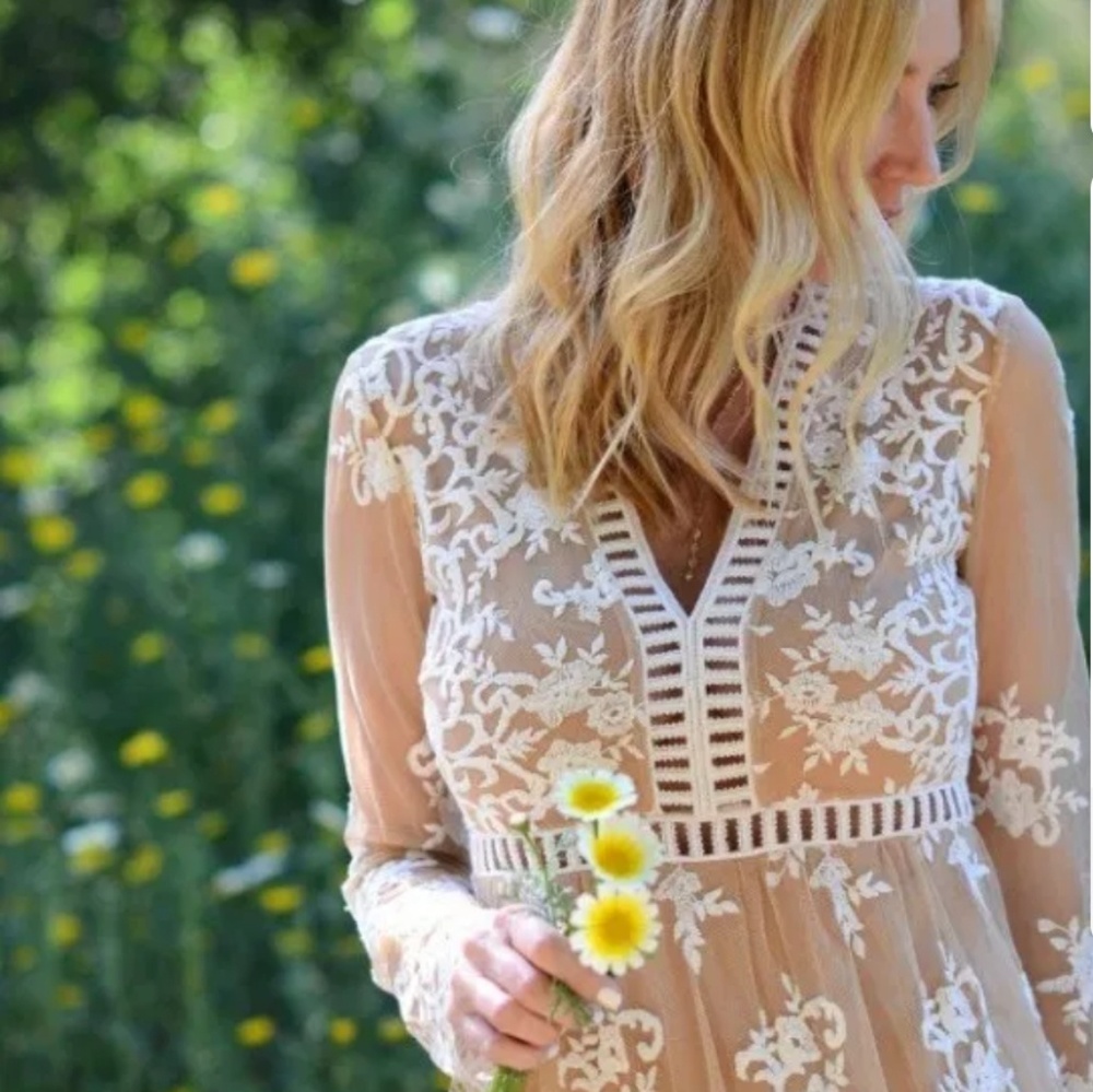 Mesh Embroidered Lace Maxi dress